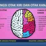 Perbedaan Objektif dan Subjektif: Panduan Lengkap Memahami Fakta dan Opini