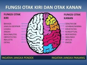 Perbedaan Objektif dan Subjektif: Panduan Lengkap Memahami Fakta dan Opini