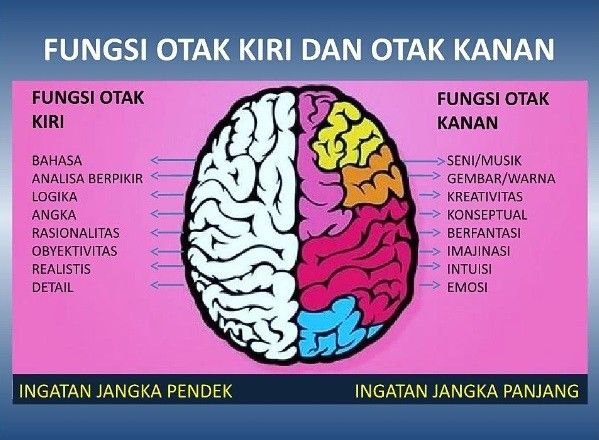 Perbedaan Objektif dan Subjektif: Panduan Lengkap Memahami Fakta dan Opini